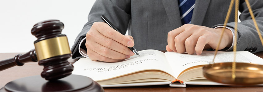 Understanding Adjudication in Legal Matters